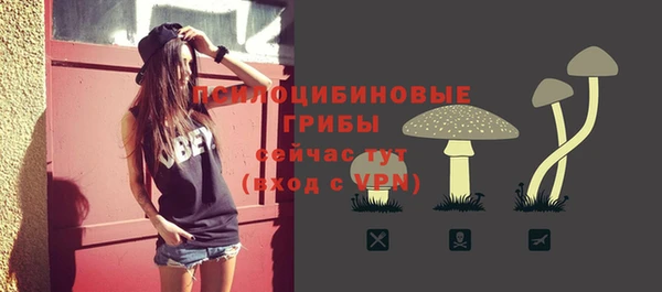 прущий лед Беломорск
