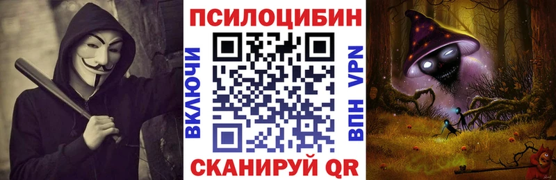 магазин  наркотиков  Пионерский  Псилоцибиновые грибы прущие грибы 