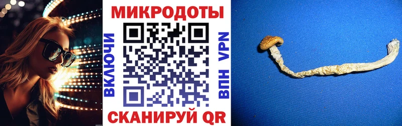 Псилоцибиновые грибы мухоморы Пионерский
